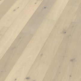 Oak No 27 - Cardiff